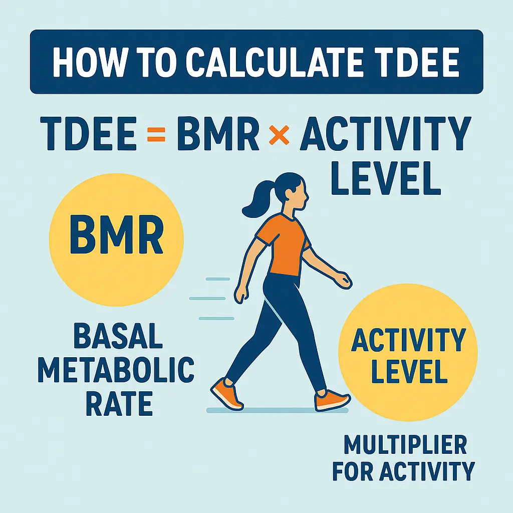 Infographic showing how to calculate TDEE using BMR and activity levels